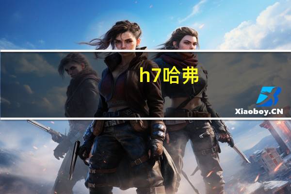 h7哈弗（h7）