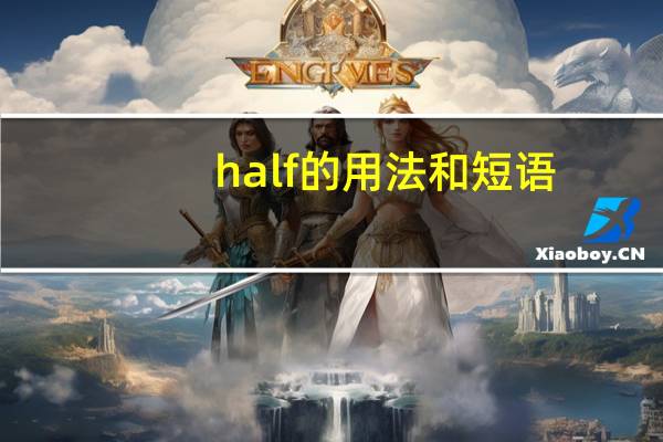 half的用法和短语