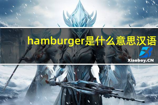 hamburger是什么意思汉语