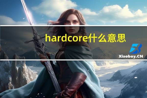 hard core什么意思