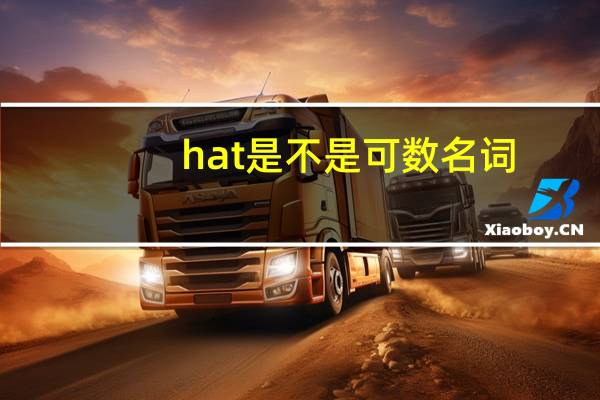 hat是不是可数名词