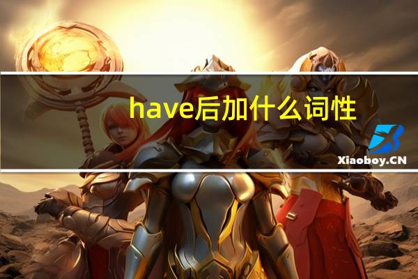 have 后加什么词性
