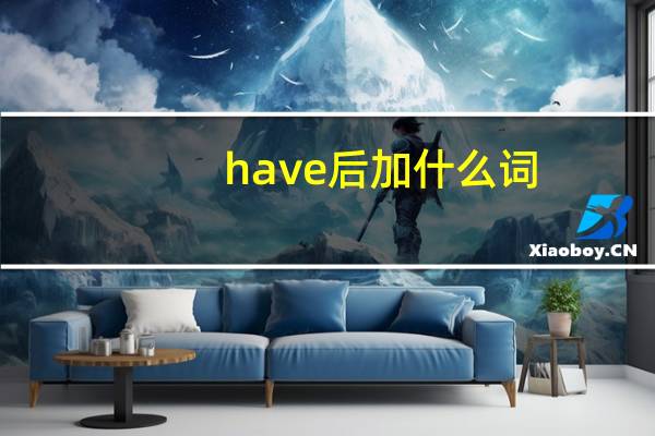 have 后加什么词