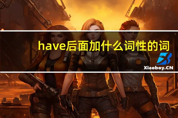 have后面加什么词性的词