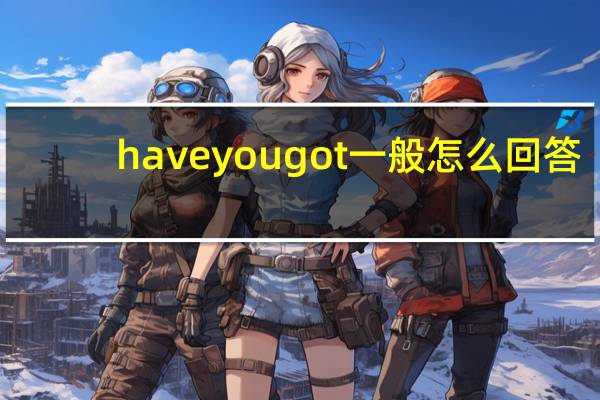 haveyougot一般怎么回答