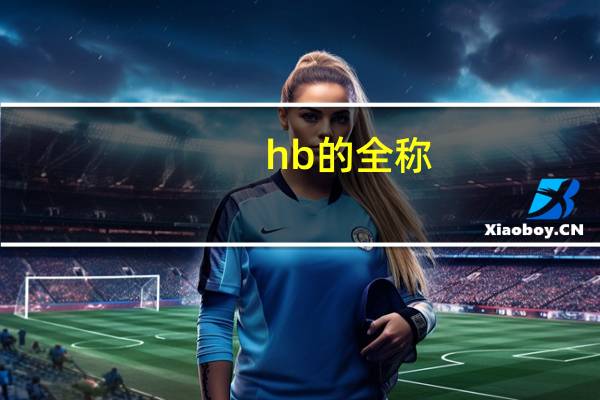 hb的全称
