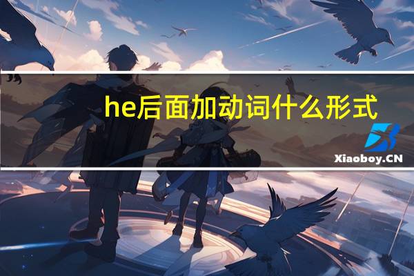 he后面加动词什么形式