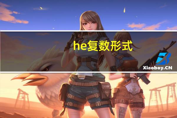he复数形式