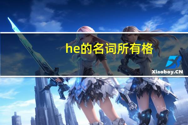 he的名词所有格