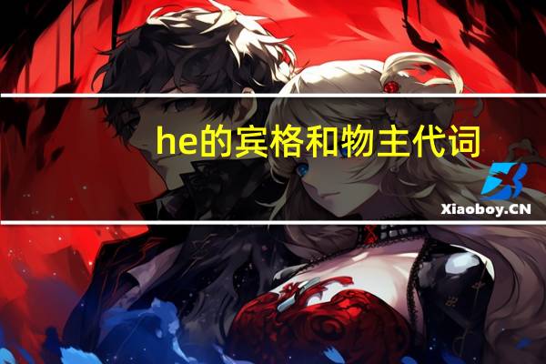 he的宾格和物主代词