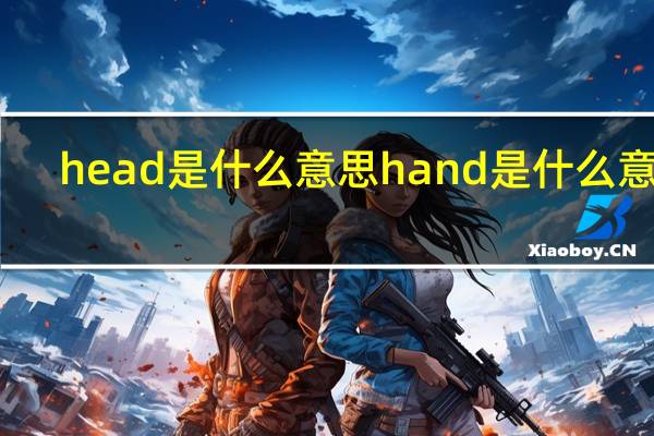 head是什么意思hand是什么意思