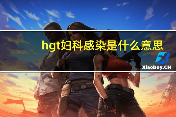 hgt妇科感染是什么意思