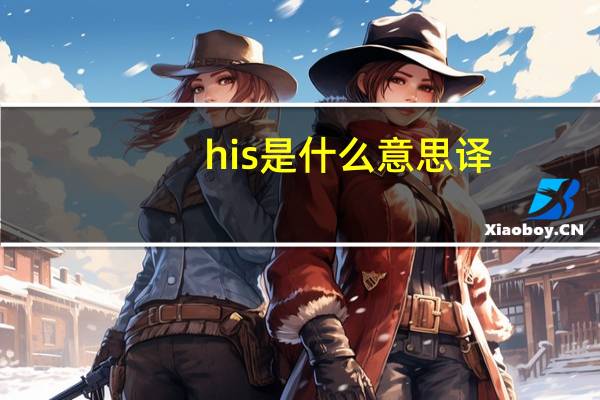 his是什么意思译
