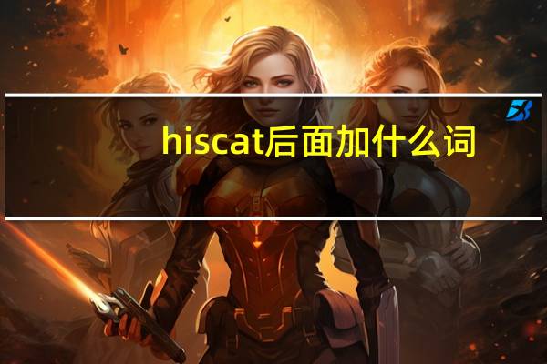 his cat后面加什么词