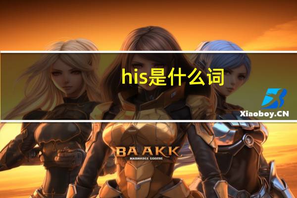 his是什么词