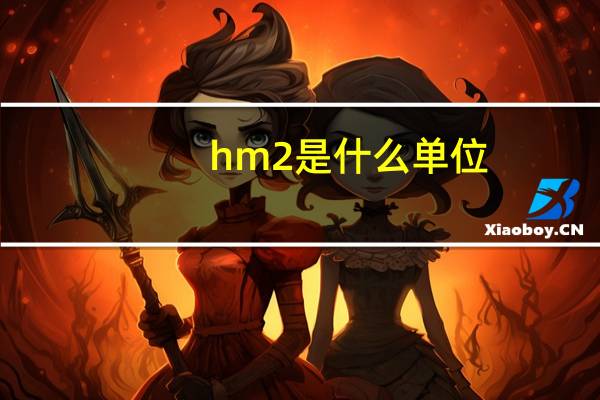 hm2是什么单位