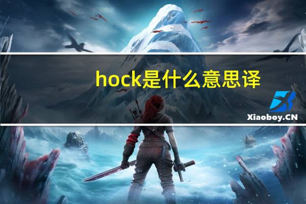 hock是什么意思译