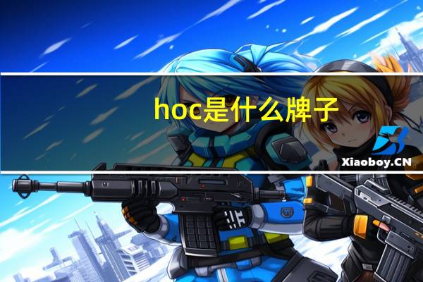 hoc是什么牌子