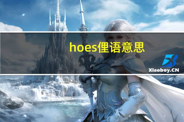 hoes俚语意思