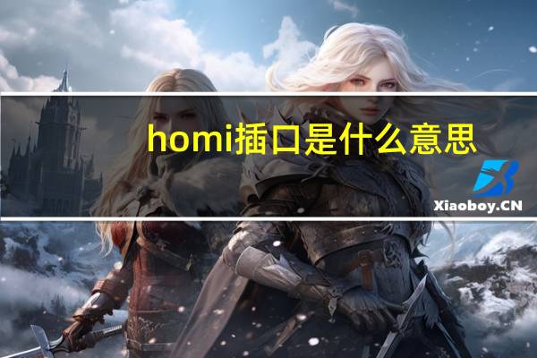 homi插口是什么意思