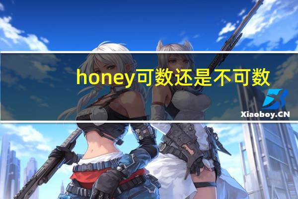 honey可数还是不可数