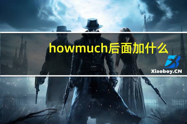 howmuch后面加什么