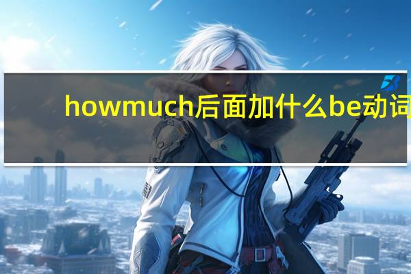 howmuch后面加什么be动词