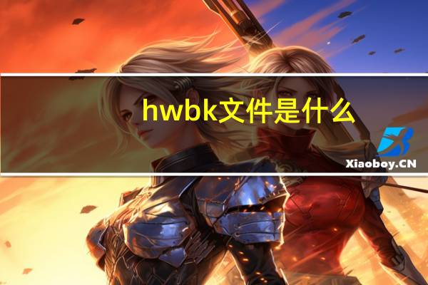 hwbk文件是什么