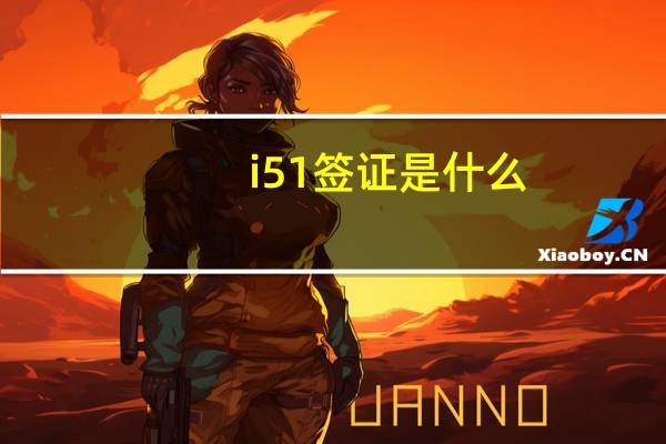 i51签证是什么