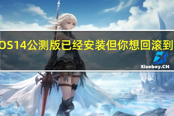 iOS 14公测版已经安装 但你想回滚到正式版?步骤如下