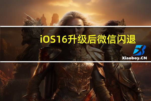 iOS16升级后微信闪退