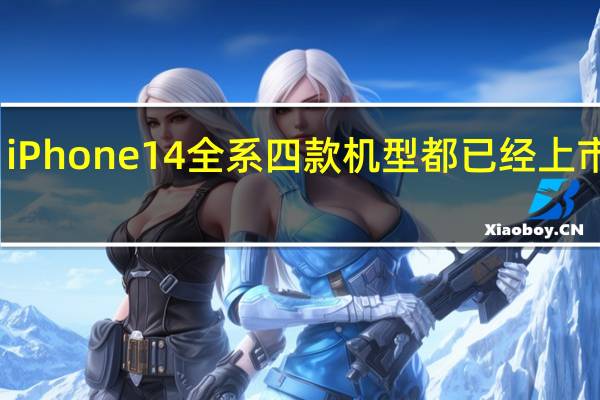 iPhone14全系四款机型都已经上市发售