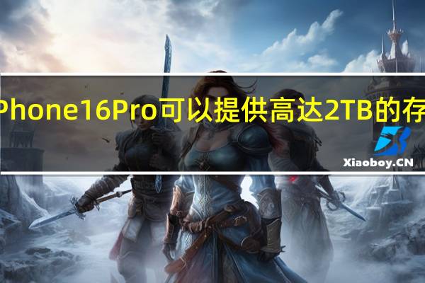 iPhone 16 Pro 可以提供高达 2TB 的存储空间