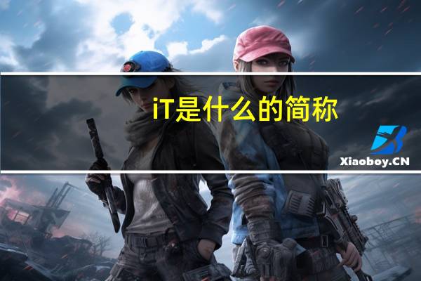 iT是什么的简称