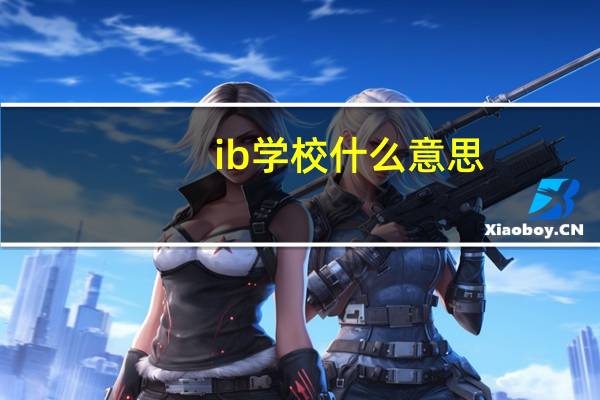 ib学校什么意思