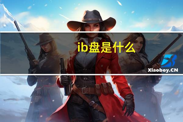 ib盘是什么