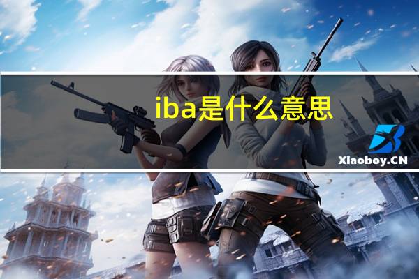 iba是什么意思（IBA是什么东西）