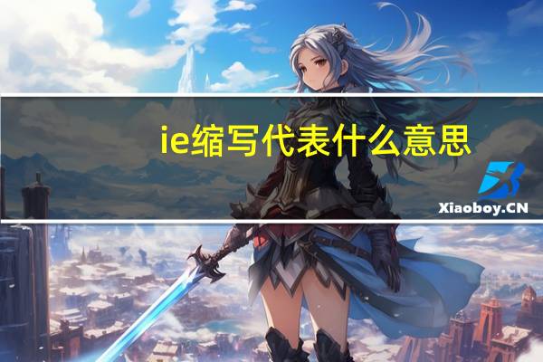 ie缩写代表什么意思
