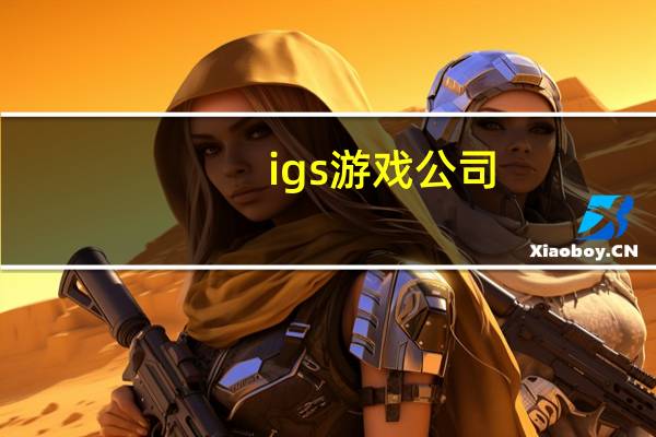 igs游戏公司（igs）