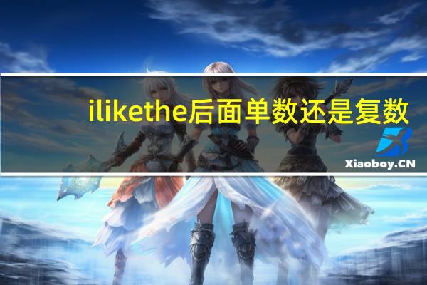 i like the 后面单数还是复数