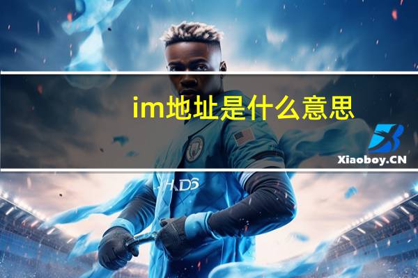 im地址是什么意思