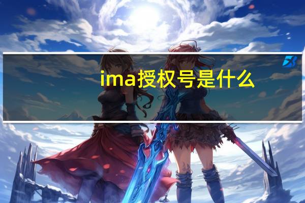 ima授权号是什么