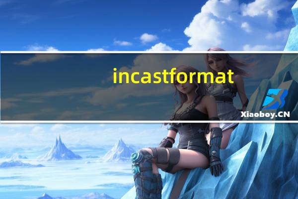 incastformat（incaseformat简介）