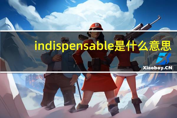 indispensable是什么意思