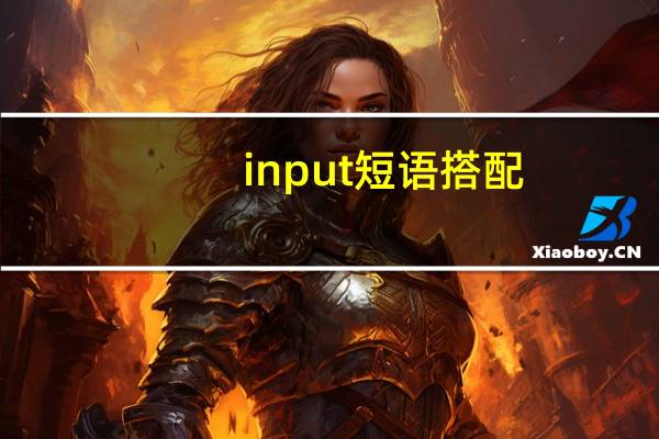 input短语搭配