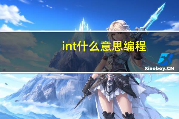 int什么意思编程（int什么意思）