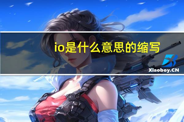io是什么意思的缩写