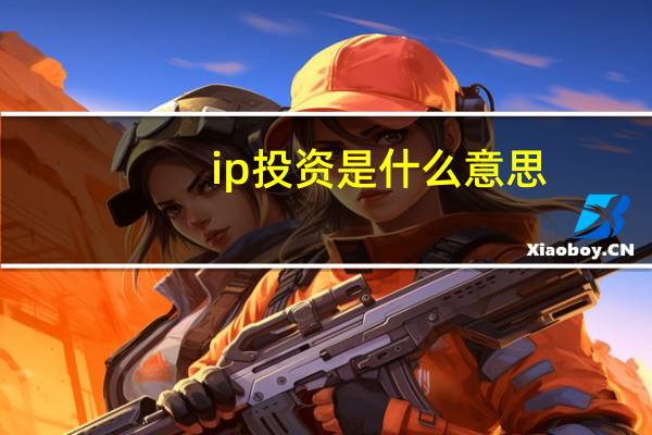 ip投资是什么意思