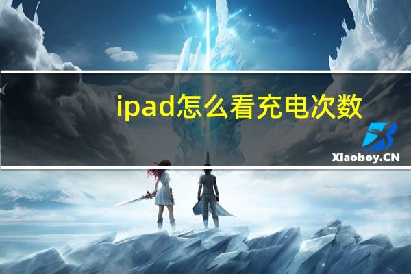 ipad怎么看充电次数