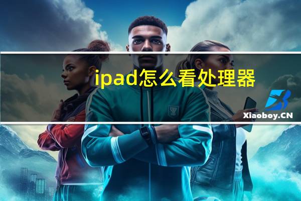 ipad怎么看处理器